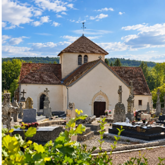 Tasse — Plaines-Saint-Lange, Aube (10250 Plaines-Saint-Lange)