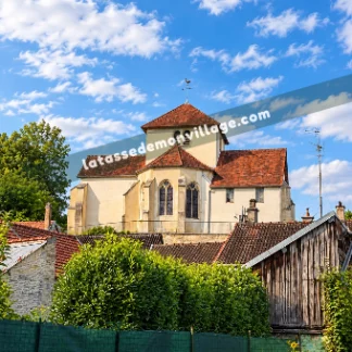 Tasse — Plaines-Saint-Lange, Aube (10250 Plaines-Saint-Lange)
