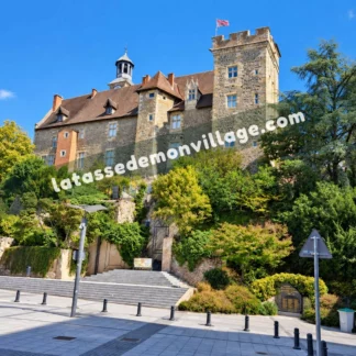 Tasse — Montluçon (03100)