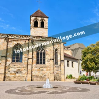 Tasse — Montluçon (03100)