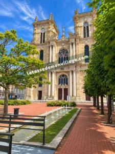 Tasse — Vitry-le-François (51300)
